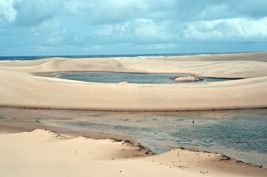 delta-del-parnaiba-feijao-branco 