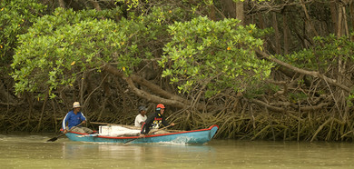 delta-del-parnaiba-barca 